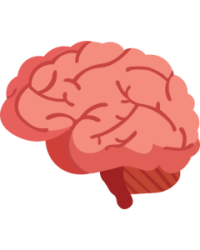 Skill, Aptitude and Language Test